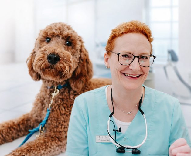 Zahnärztin in der Praxis mit Therapiehund